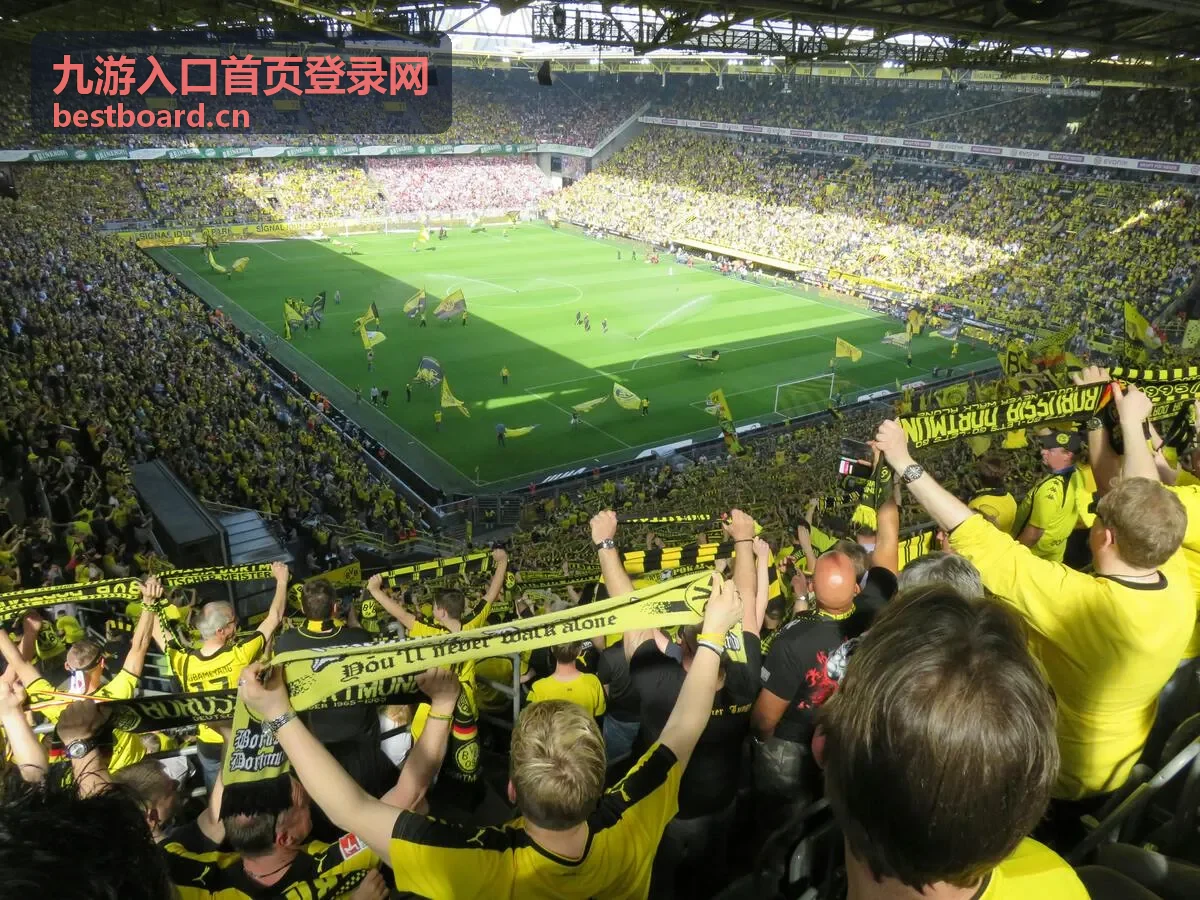 九游入口首页登录网登录异常时的排查顺序